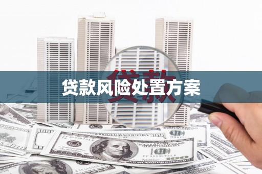 顺庆贷款风险处置方案