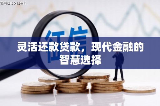 顺庆灵活还款贷款，现代金融的智慧选择