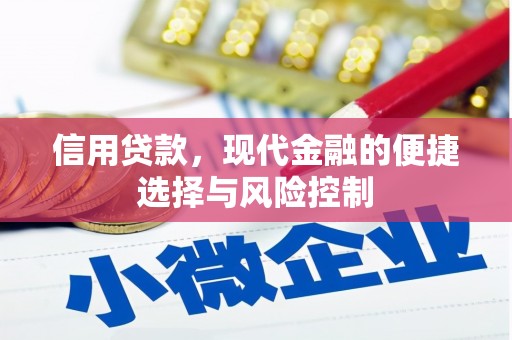 顺庆信用贷款，现代金融的便捷选择与风险控制