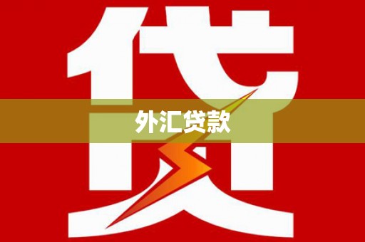顺庆外汇贷款