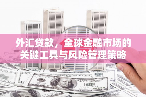 顺庆外汇贷款，全球金融市场的关键工具与风险管理策略