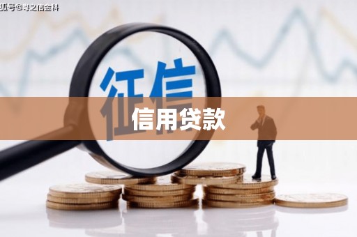 顺庆信用贷款