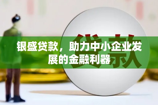 顺庆银盛贷款，助力中小企业发展的金融利器
