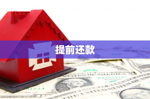 顺庆提前还款
