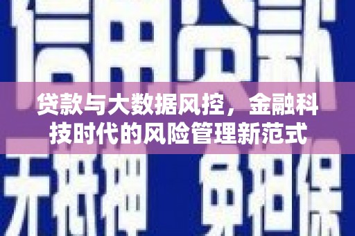 顺庆贷款与大数据风控，金融科技时代的风险管理新范式