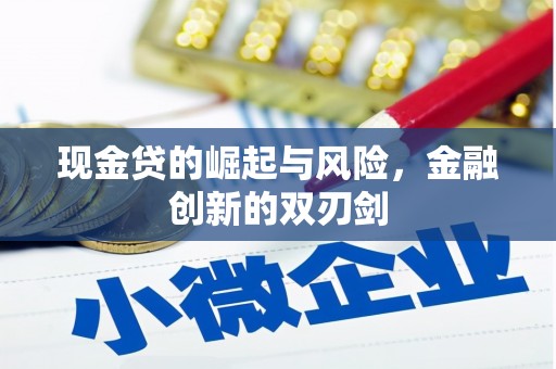 顺庆现金贷的崛起与风险，金融创新的双刃剑