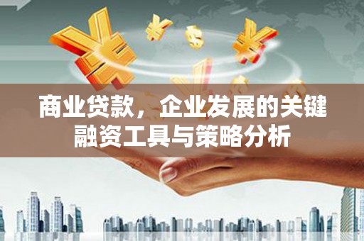 顺庆商业贷款，企业发展的关键融资工具与策略分析
