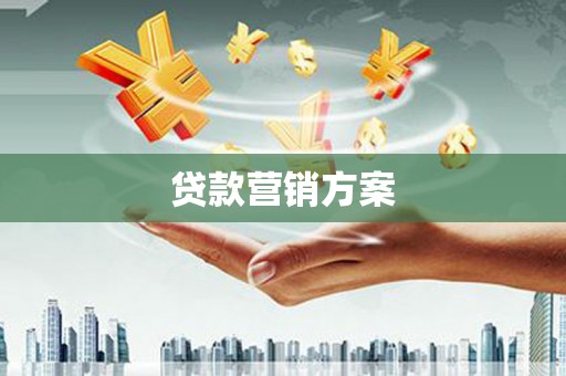 顺庆贷款营销方案