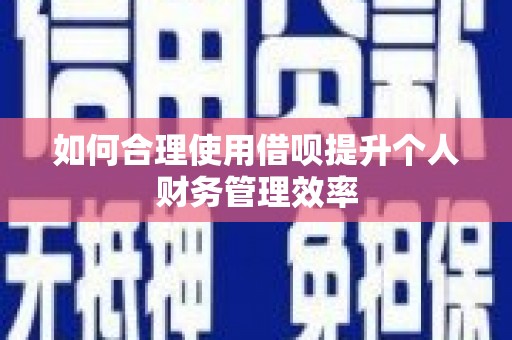 顺庆如何合理使用借呗提升个人财务管理效率