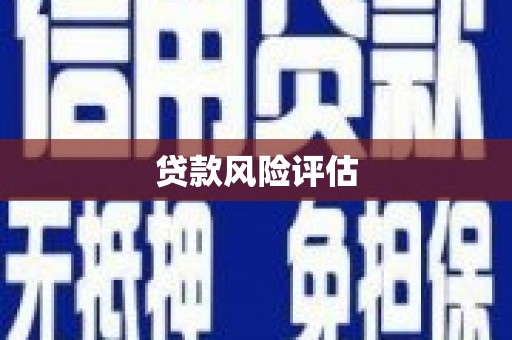 顺庆贷款风险评估