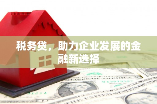 顺庆税务贷，助力企业发展的金融新选择