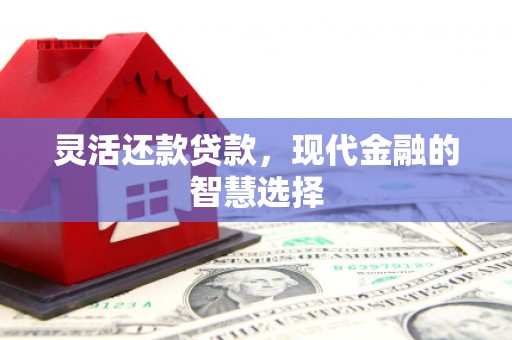 顺庆灵活还款贷款，现代金融的智慧选择