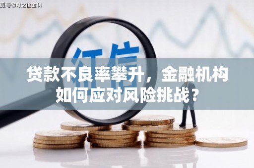 顺庆贷款不良率攀升，金融机构如何应对风险挑战？