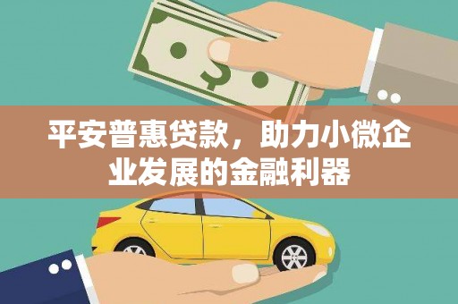 顺庆平安普惠贷款，助力小微企业发展的金融利器