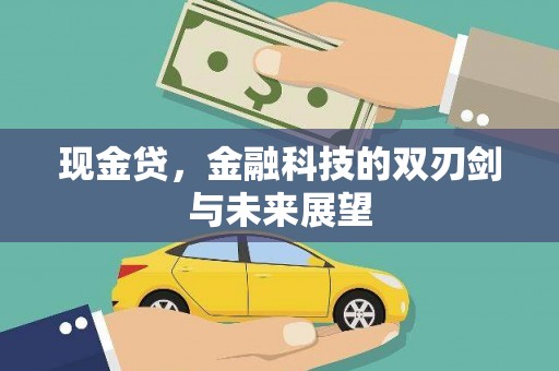 顺庆现金贷，金融科技的双刃剑与未来展望