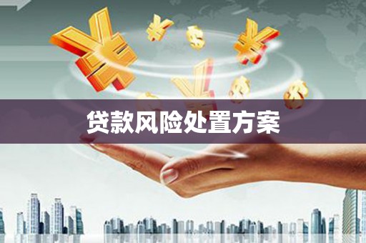 顺庆贷款风险处置方案