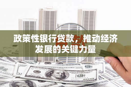 顺庆政策性银行贷款，推动经济发展的关键力量