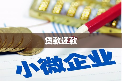 顺庆贷款还款