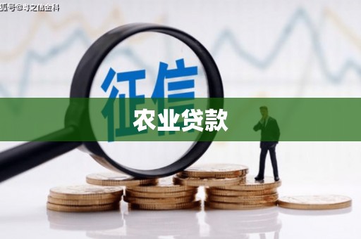 顺庆农业贷款