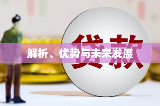 顺庆解析、优势与未来发展