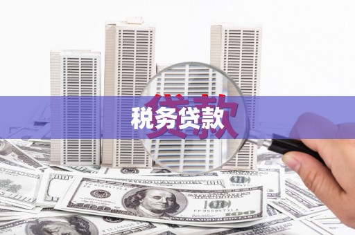 顺庆税务贷款