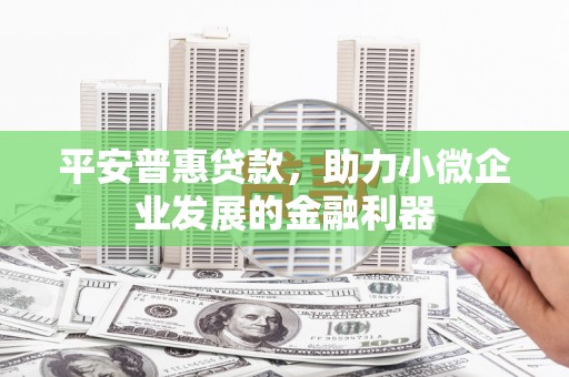 顺庆平安普惠贷款，助力小微企业发展的金融利器