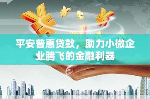 顺庆平安普惠贷款，助力小微企业腾飞的金融利器