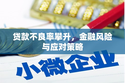 顺庆贷款不良率攀升，金融风险与应对策略