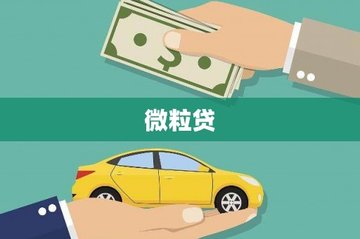 顺庆微粒贷