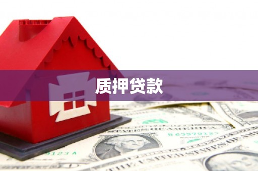 顺庆质押贷款
