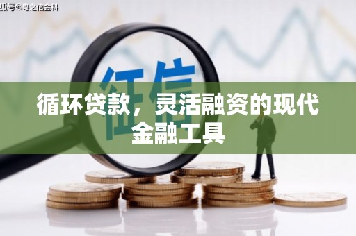 顺庆循环贷款，灵活融资的现代金融工具