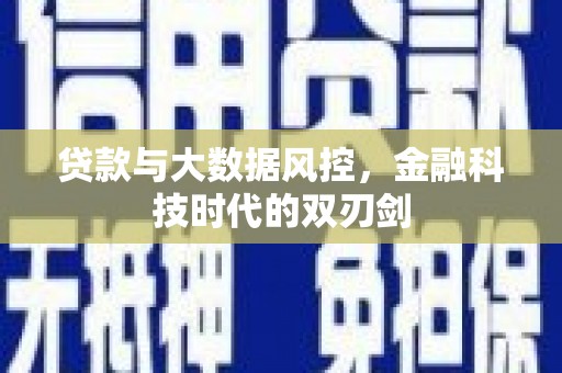 顺庆贷款与大数据风控，金融科技时代的双刃剑