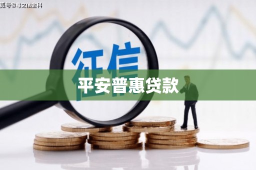 顺庆平安普惠贷款