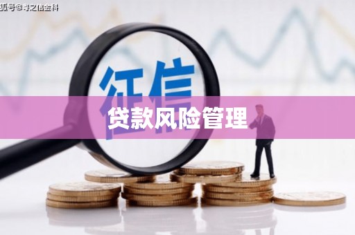 顺庆贷款风险管理