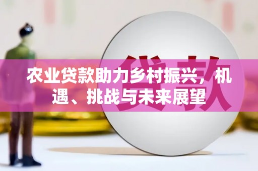 顺庆农业贷款助力乡村振兴，机遇、挑战与未来展望