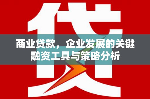 顺庆商业贷款，企业发展的关键融资工具与策略分析