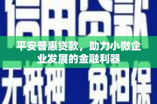 顺庆平安普惠贷款，助力小微企业发展的金融利器