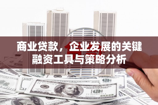 顺庆商业贷款，企业发展的关键融资工具与策略分析