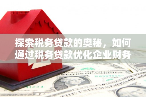 顺庆探索税务贷款的奥秘，如何通过税务贷款优化企业财务