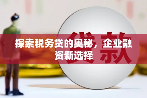 顺庆探索税务贷的奥秘，企业融资新选择
