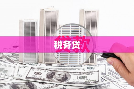 顺庆税务贷