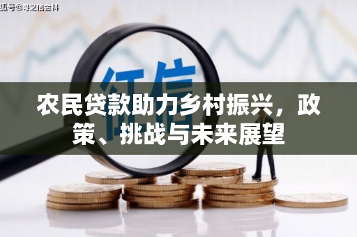 顺庆农民贷款助力乡村振兴，政策、挑战与未来展望