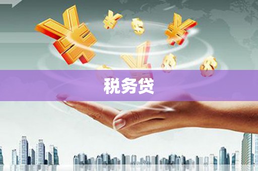 顺庆税务贷