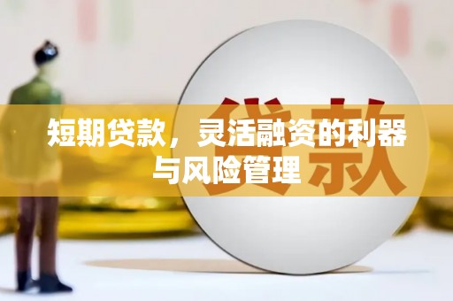 顺庆短期贷款，灵活融资的利器与风险管理