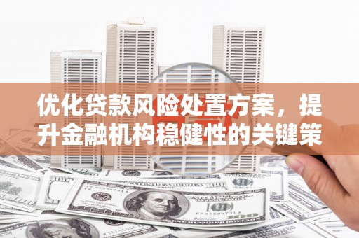 顺庆优化贷款风险处置方案，提升金融机构稳健性的关键策略