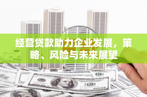 顺庆经营贷款助力企业发展，策略、风险与未来展望