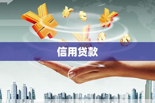 顺庆信用贷款