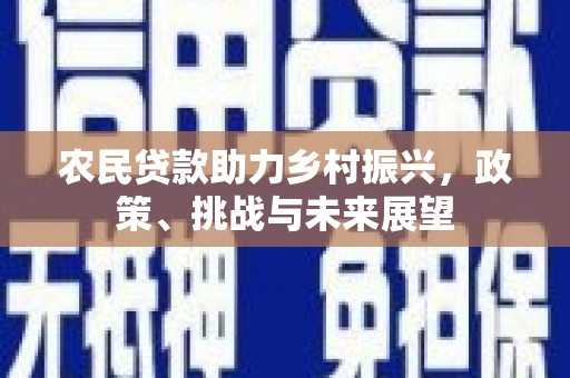 顺庆农民贷款助力乡村振兴，政策、挑战与未来展望
