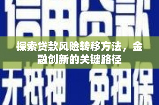 顺庆探索贷款风险转移方法，金融创新的关键路径