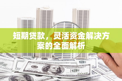 顺庆短期贷款，灵活资金解决方案的全面解析